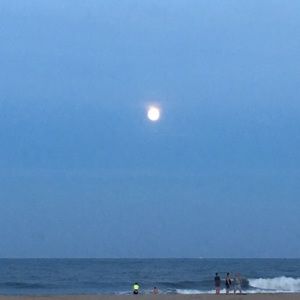 Meet your Posher, Kristal